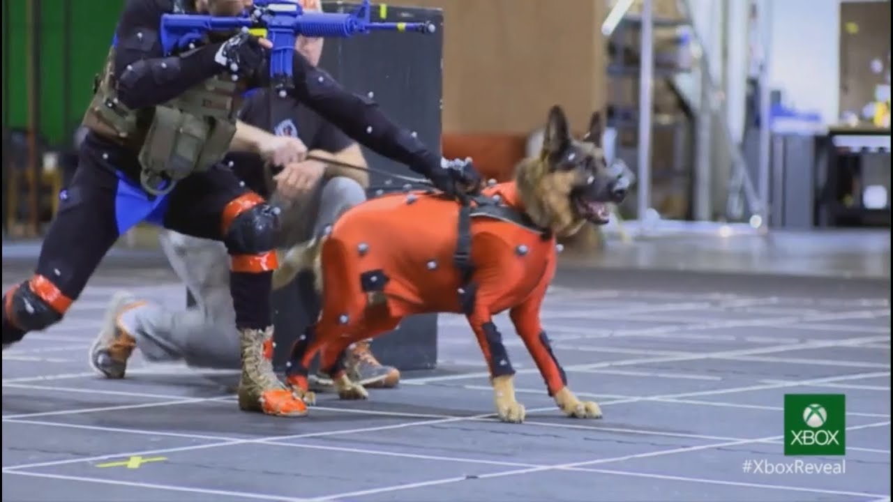 Собака в mocap-костюме на съёмках Ghosts
