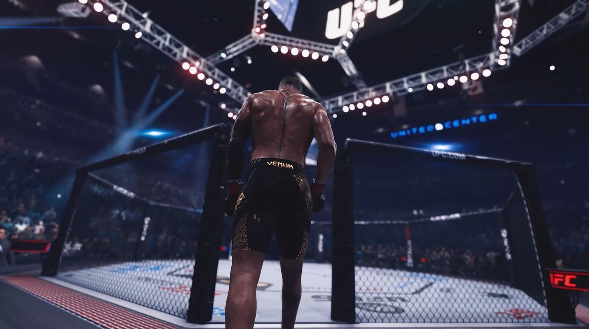 Бой в октагоне в EA SPORTS UFC 6